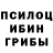 Псилоцибиновые грибы мухоморы Ivan Ovsienko